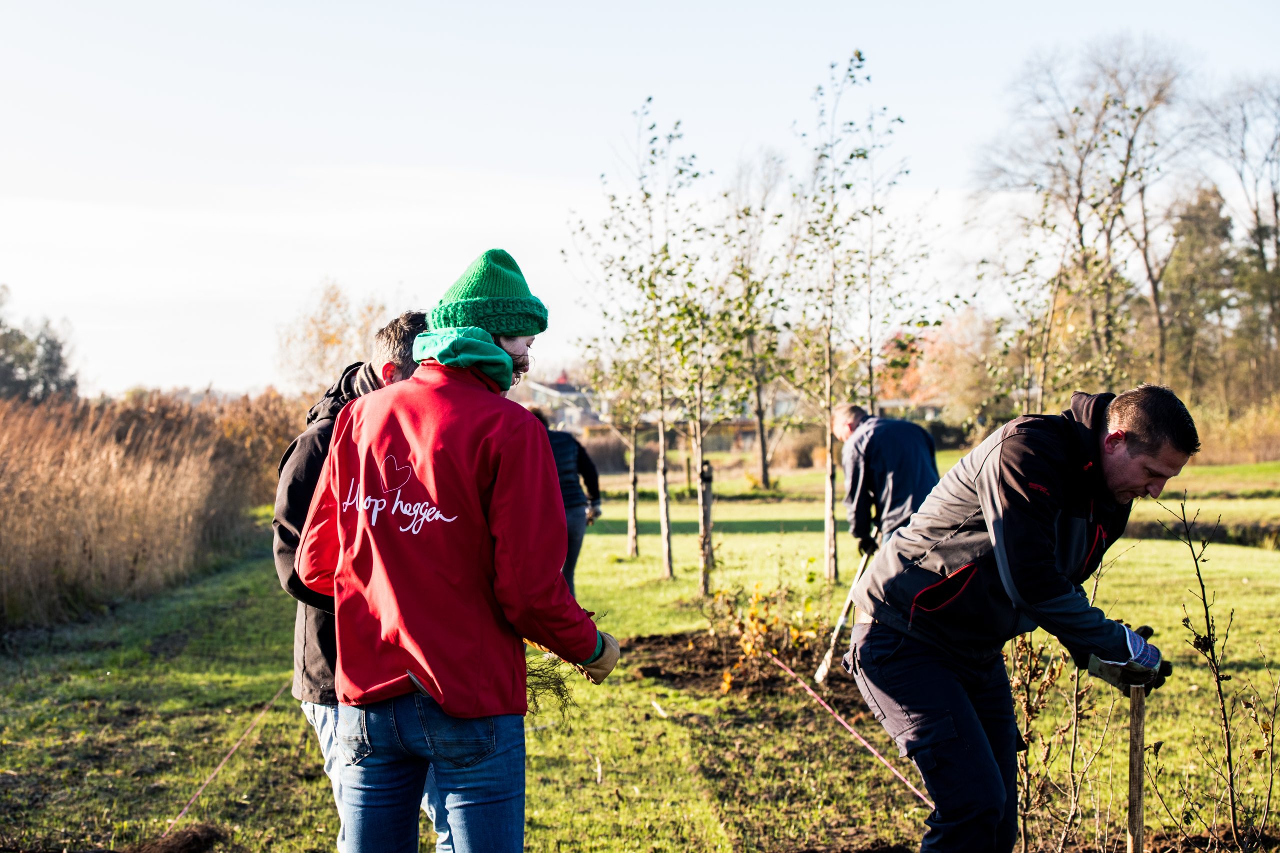 Een ochtend OffGrid: Plant een heg aan met collega’s