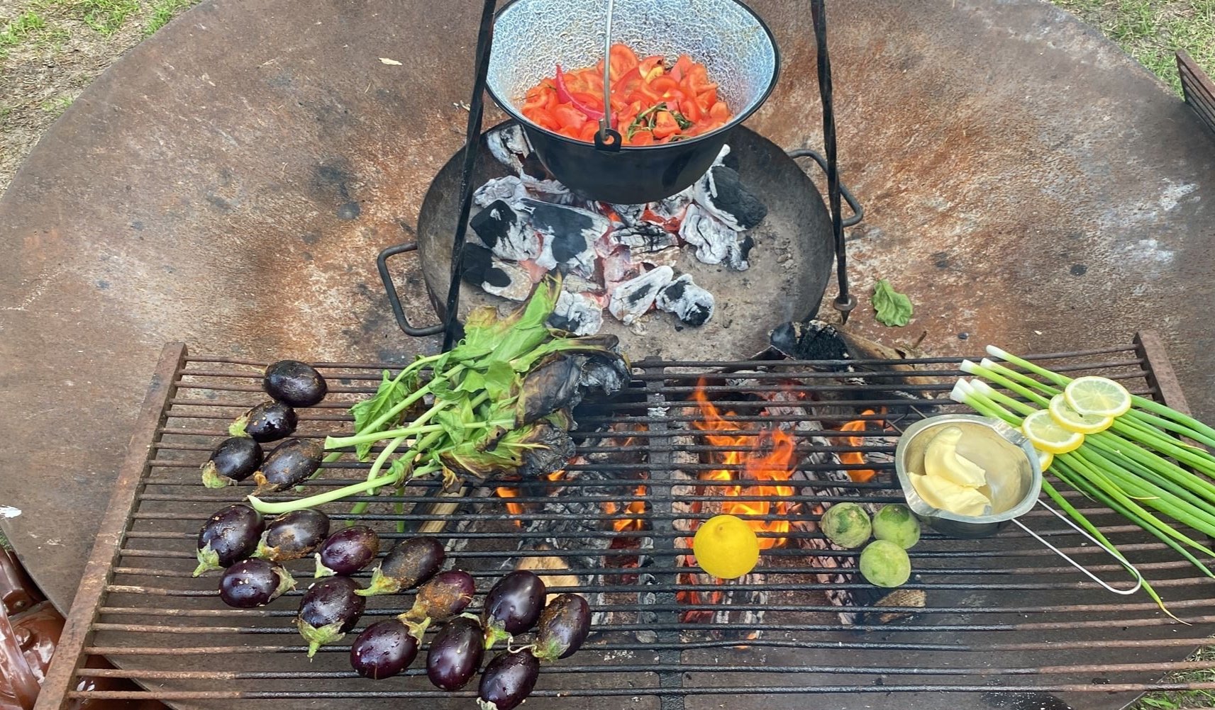 (VOL) Koken op vuur exclusief, met Tuin voor Zwaantje